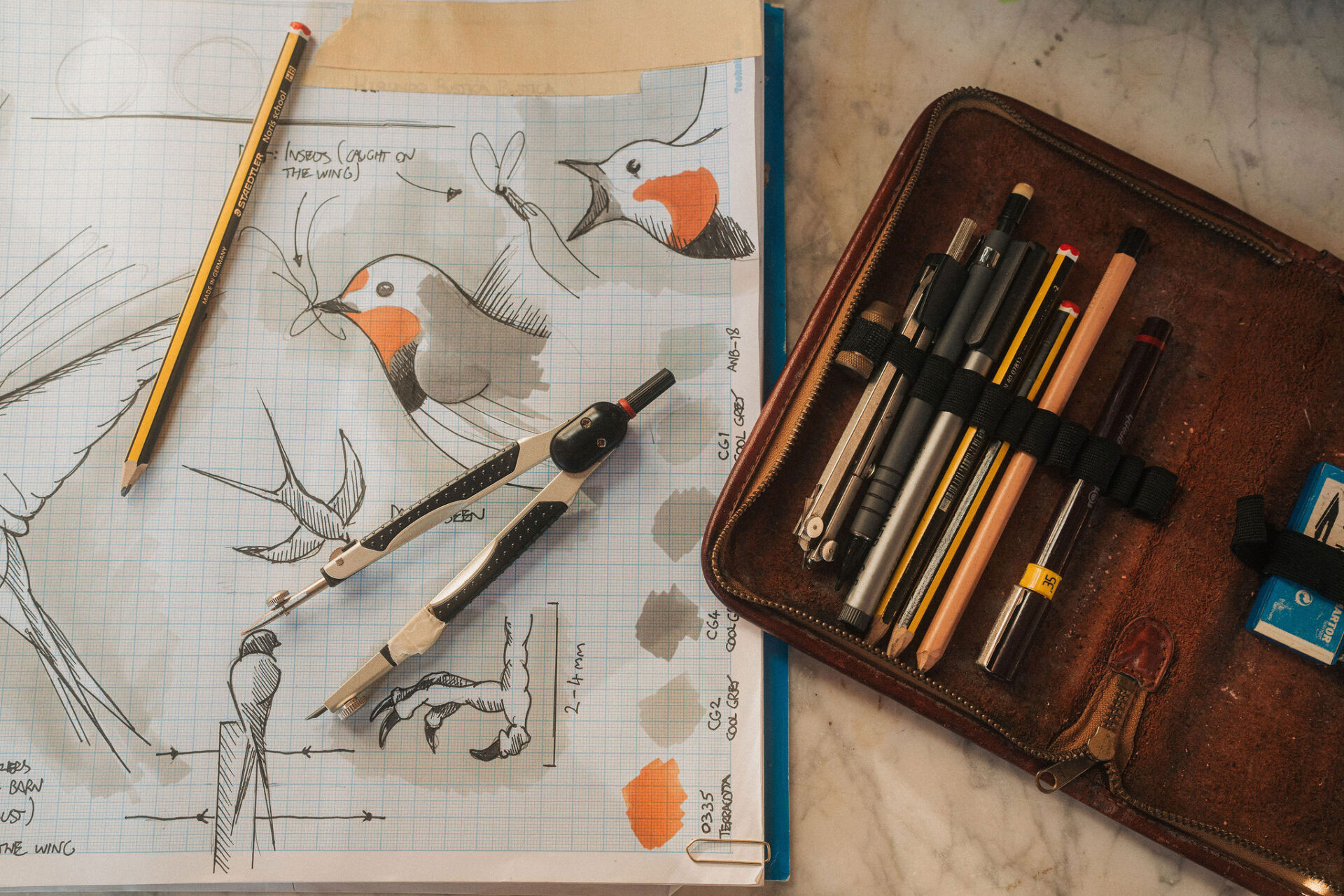 Sketch pad with barn swallow drawings on a desk, with a pencil and compass placed on top, part of Ed Harrison’s Wild Wings of Hope project.