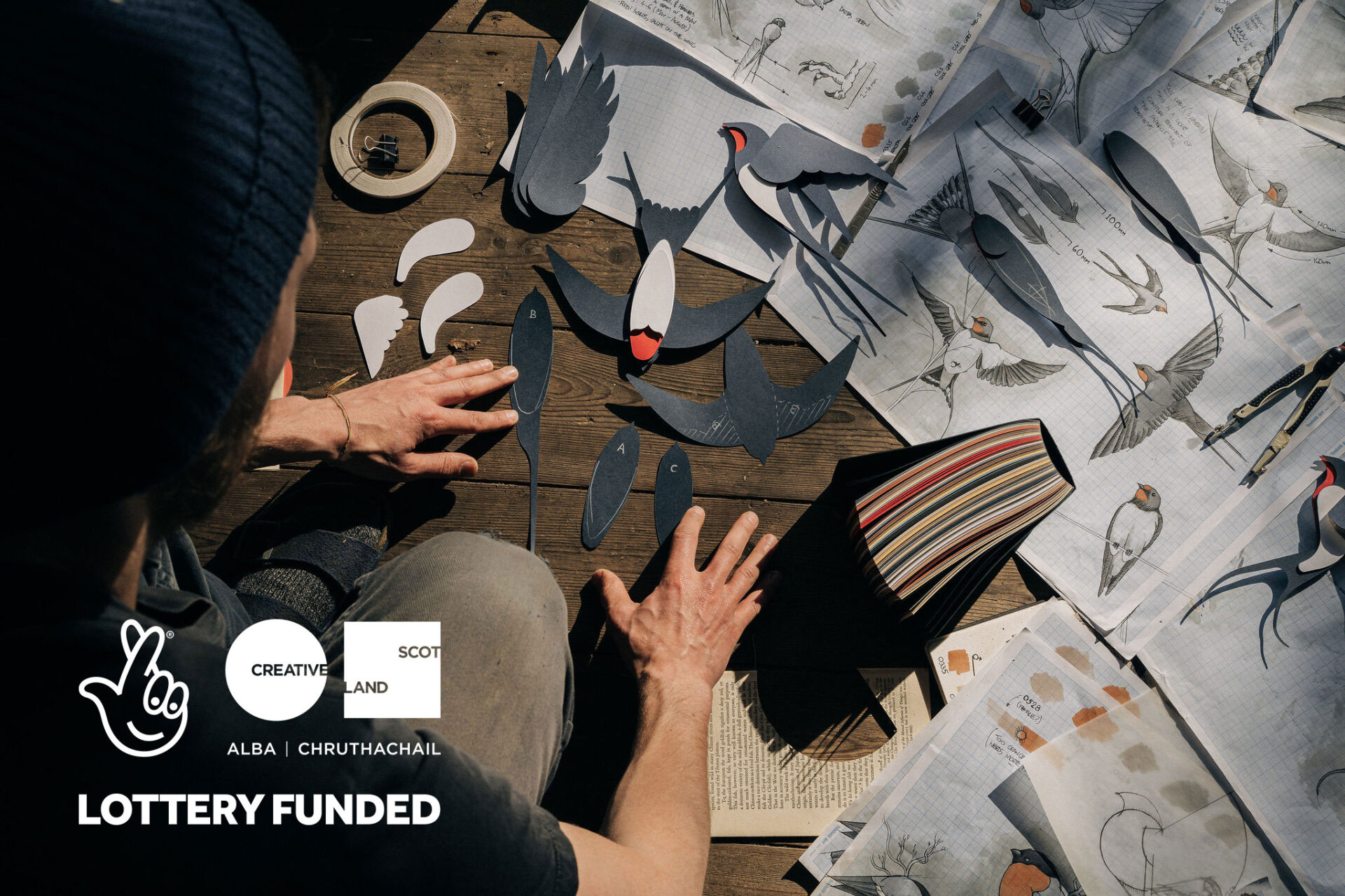 Ed Harrison, wildlife artist, in the studio surrounded by hand-drawn sketches of barn swallows spread across the floor for the Wild Wings of Hope project.