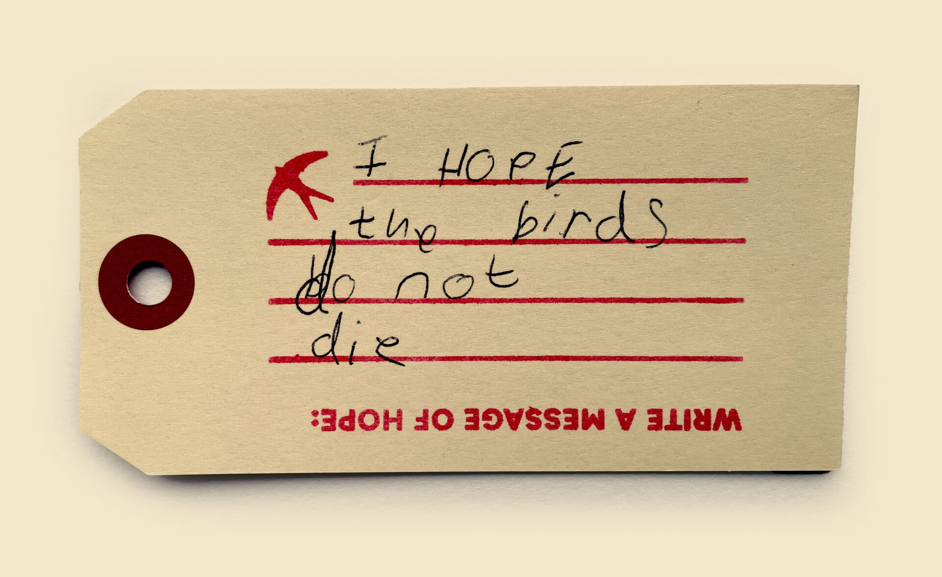 I hope the birds do not die